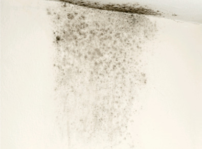 구례 주택 아파트 공장 결로검사 결로공사 시공업체