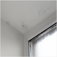 구례 주택 아파트 공장 결로검사 결로공사 시공업체-6106543